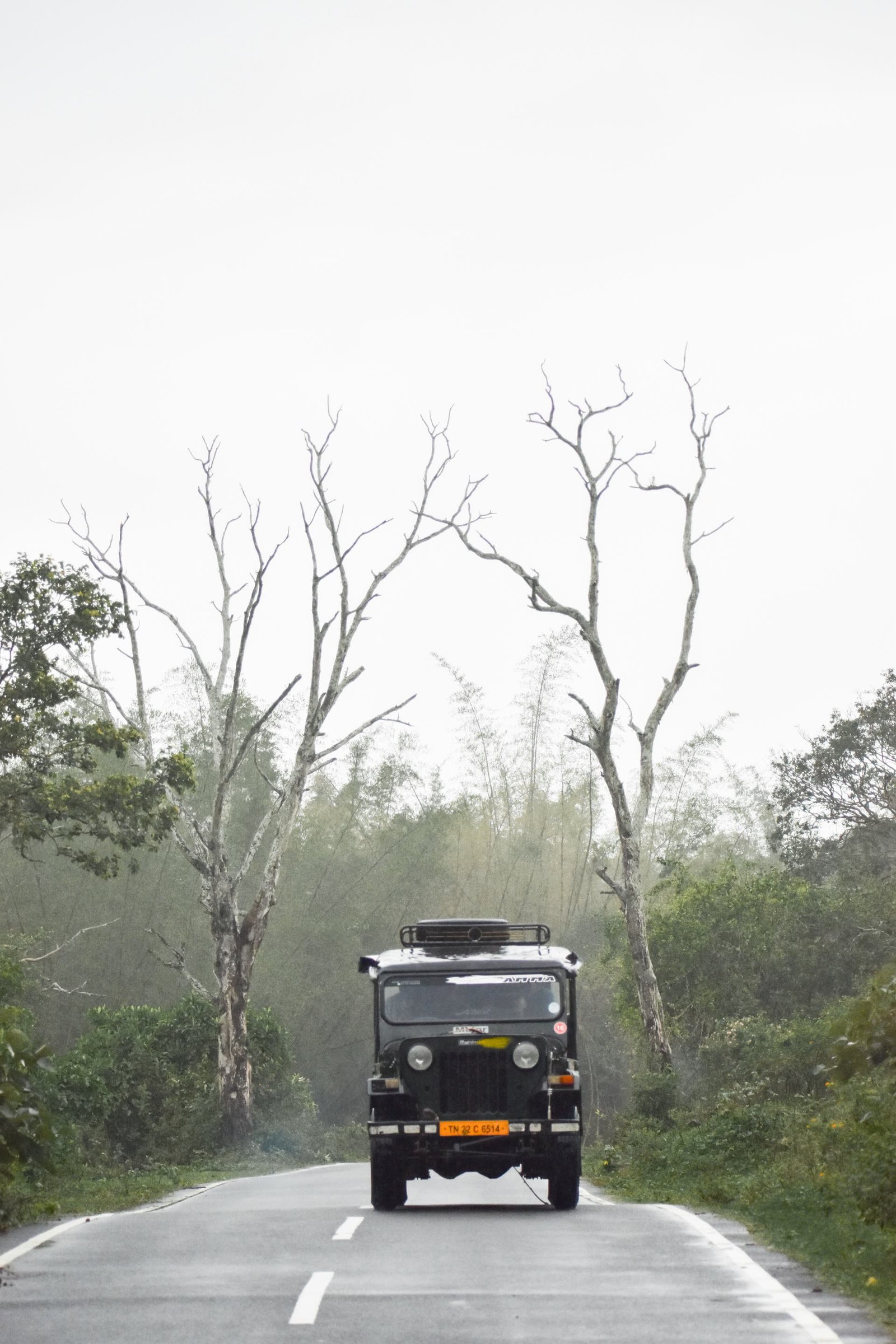 Safari jeep on a misty Masinagudi forest road